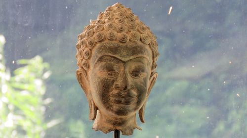 Close-up of lion swimming in sea