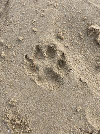 High angle view of footprints on sand