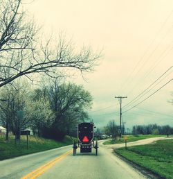 Road amidst bare trees against sky