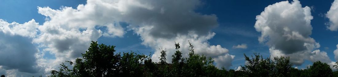 Low angle view of trees against cloudy sky