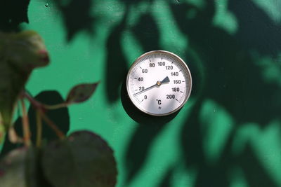 Close-up of clock on leaf