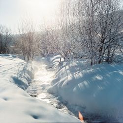 Snow covered land and bare trees on field