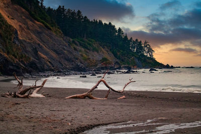 Scenic view of beach against sky