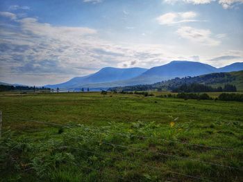 Scenic view of field against sky