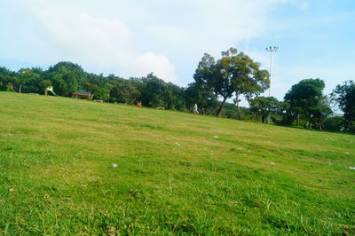 Trees on field against sky