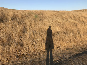 Shadow of person on field against clear sky