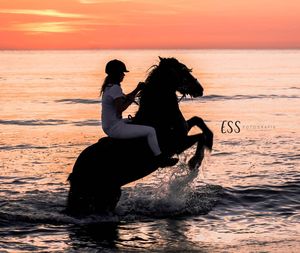 Silhouette man riding on beach against sky during sunset