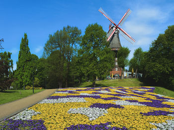 This beautiful park with a windmill and flowers is located in the old city - bremen, germany