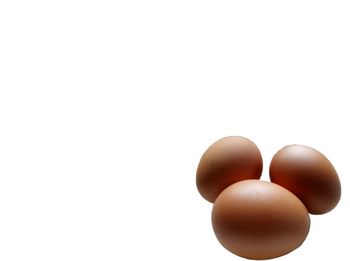 Close-up of eggs against white background