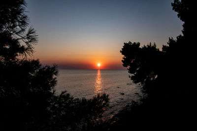 Silhouette tree by sea against sky during sunset