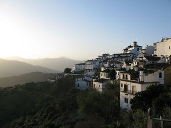 Houses in townscape