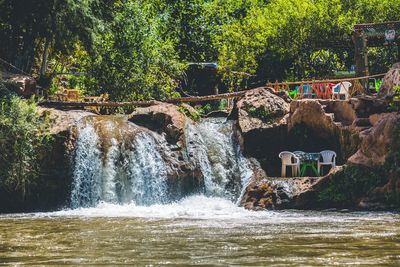 Scenic view of waterfall in forest