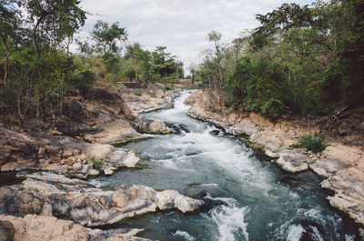 River flowing through rocks in forest