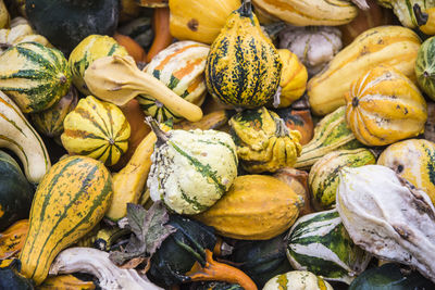 Full frame shot of pumpkins for sale at market