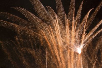 Close-up of firework display at night