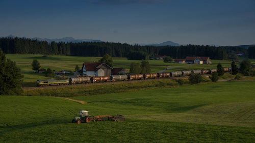 Scenic view of grassy field against sky