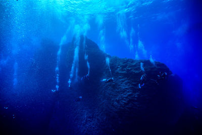 Scuba divers swimming in sea