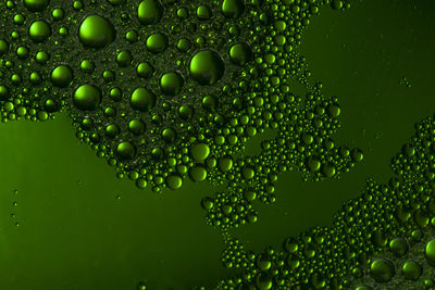 Full frame shot of wet bubbles