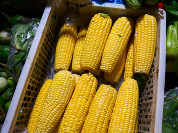 Close-up of corn