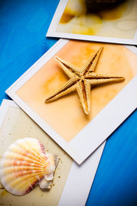 High angle view of shell and starfish with picture frames on blue table