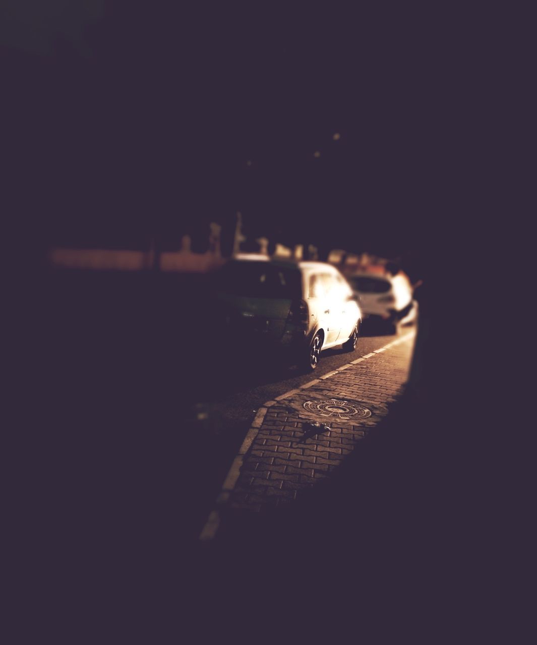 night, dark, silhouette, animal themes, one animal, illuminated, copy space, shadow, sunlight, outdoors, selective focus, unrecognizable person, full length, street, walking, wildlife