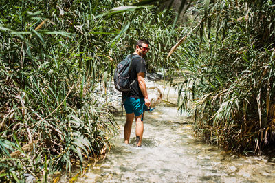 Young man hiking up river surrounded by green plants in summer