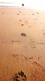 Footprints on sand at beach against sky