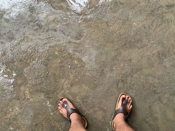 Low section of person standing on beach