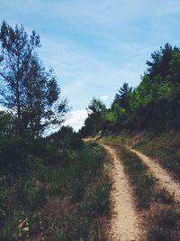 Dirt road passing through landscape