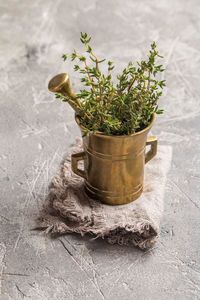 High angle view of potted plant on table