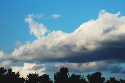 Low angle view of silhouette trees against blue sky