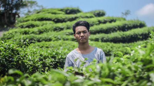 Portrait of young man standing amidst plants on agricultural field