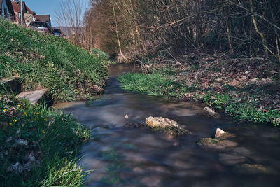 High angle view of plants growing in river