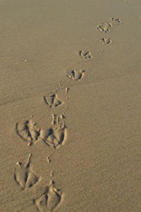 High angle view of footprints on sand at beach