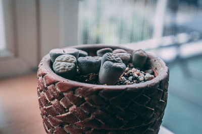 Close-up of potted plant on table