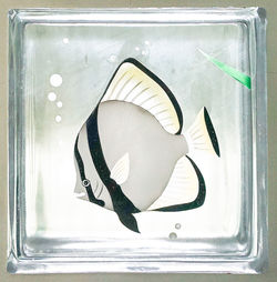 High angle view of an animal representation on glass