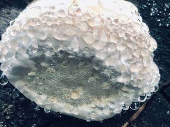 High angle view of ice cream on table