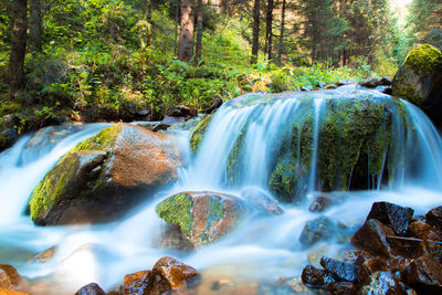 View of waterfall in forest