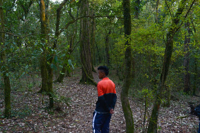 Rear view of young man walking amidst trees in forest