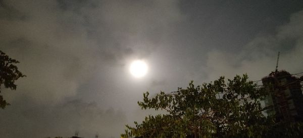 Low angle view of silhouette trees against sky at night