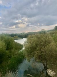 Scenic view of river against sky