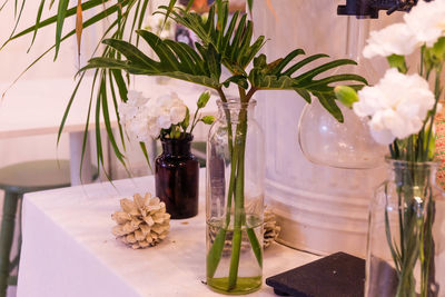 Close-up of potted plant on table