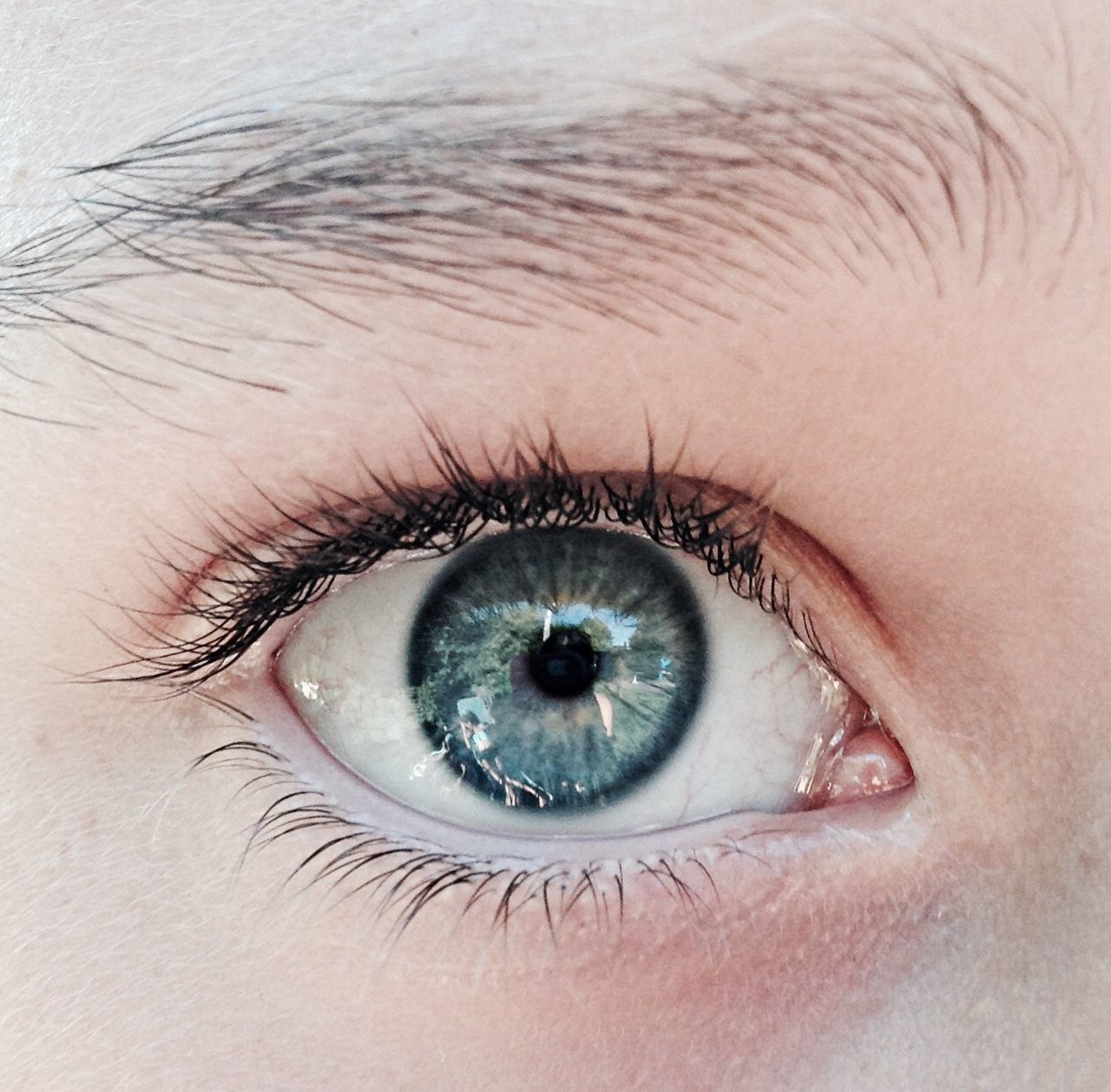 human eye, eyelash, eyesight, close-up, looking at camera, sensory perception, portrait, iris - eye, extreme close-up, eyeball, part of, full frame, vision, human skin, eyebrow, human face, indoors