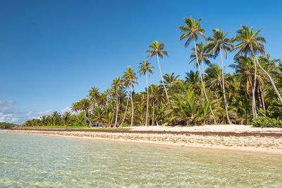 Scenic view of beach against blue sky