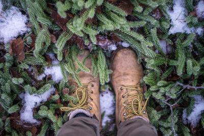 Low section of man standing on snow covered plants