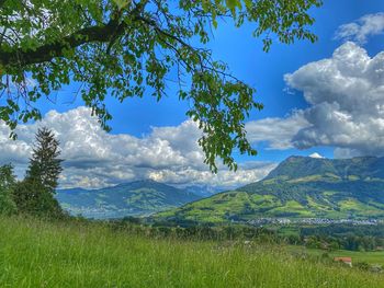 Scenic view of landscape against sky