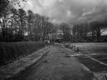 Footpath amidst trees against cloudy sky