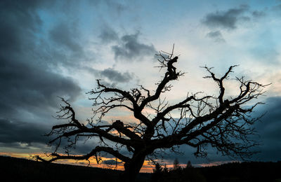 Low angle view of bare trees against cloudy sky