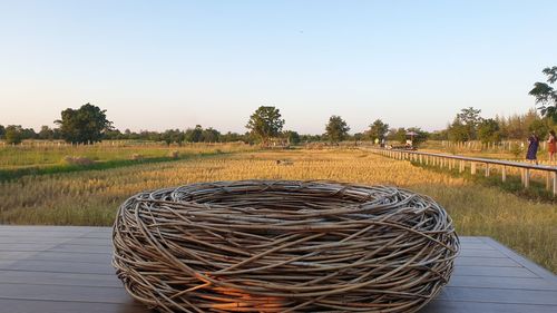 Hay bales on field against clear sky