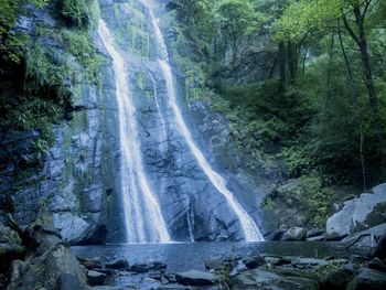 Scenic view of waterfall in forest